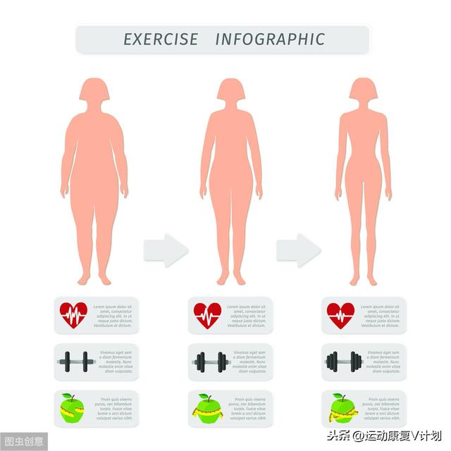 肥胖腰臀比值(腰臀比脂肪比率)