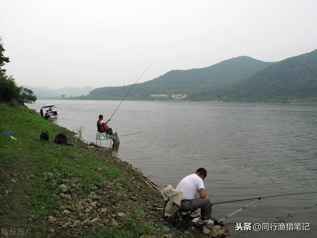 春季钓鱼的五个技巧分享，有哪些技巧值得钓友注意