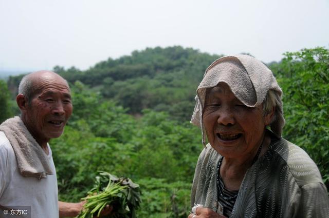 野生核桃和种植核桃有什么区别，野生核桃比家里自己种植的更有营养吗