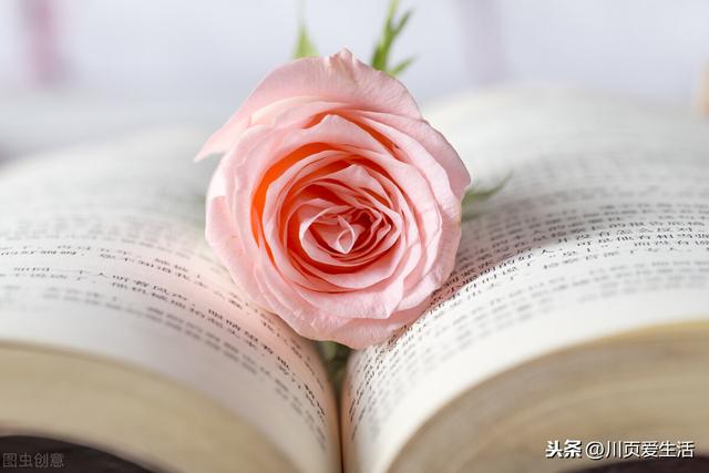 给老师具有纪念意义的礼品,送老师值得纪念的礼物