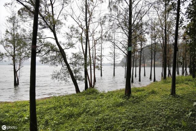 湛江湖光岩有哪些景点，湛江十大避暑旅游景点