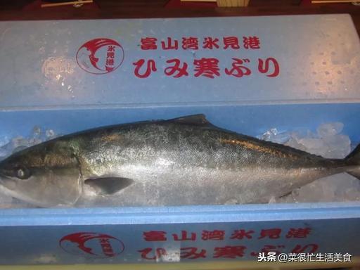 高档海鲜有哪些，全世界最顶级的海鲜（全球十大顶级海鲜食材！）