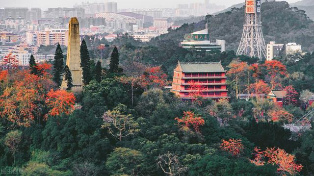 广州白云山有多高，广州白云山风景区天南第一峰（登高望远——白云山篇）