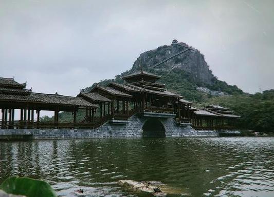 南宁花花大世界，南宁武鸣花花世界是什么样的（武鸣的花花大世界如今和南宁市区的公园有什么区别）