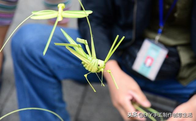 手工制作蚂蚱步骤，草编蚂蚱制作技术