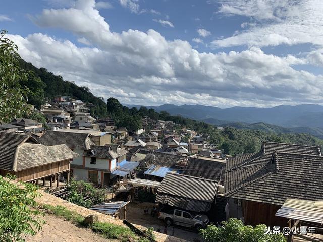 什么叫冰岛普洱茶茶语，为什么叫易武景迈