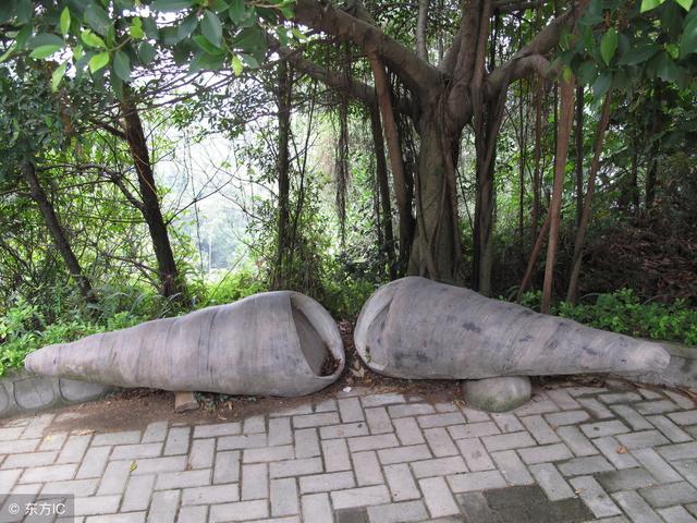 龙凤山庄在哪里，东莞市哪个景点最好玩的（东莞休闲好去处-龙凤山庄）