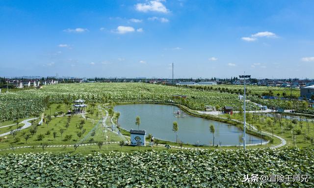 山东济南旅游景点有哪些，济南旅游必去景点攻略详细（泉城济南还有这么多好玩的地方）