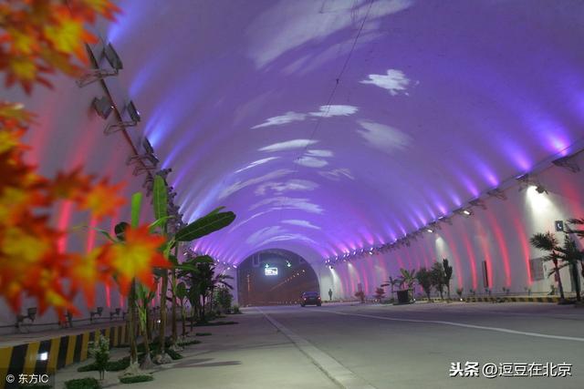 秦岭隧道在哪里，秦岭最大隧道在哪