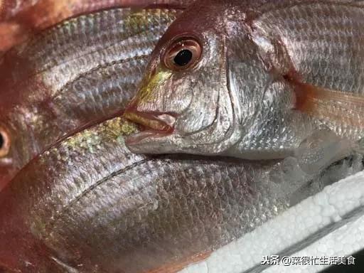 高档海鲜有哪些，全世界最顶级的海鲜（全球十大顶级海鲜食材！）