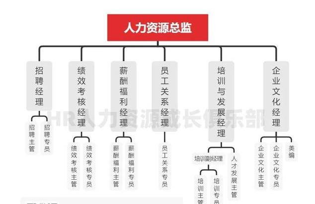 人力资源工作岗位有哪些，新一波工作岗位来啦