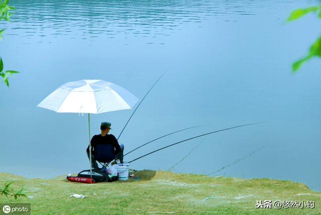 野钓鲤鱼最详细科普，牢记鲤鱼的3个习性