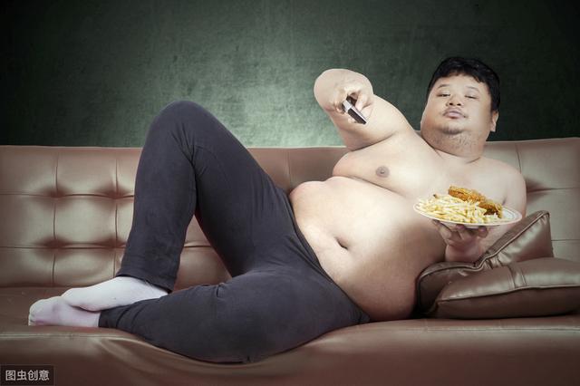 体脂率 肥胖(体脂率肥胖是什么意思)
