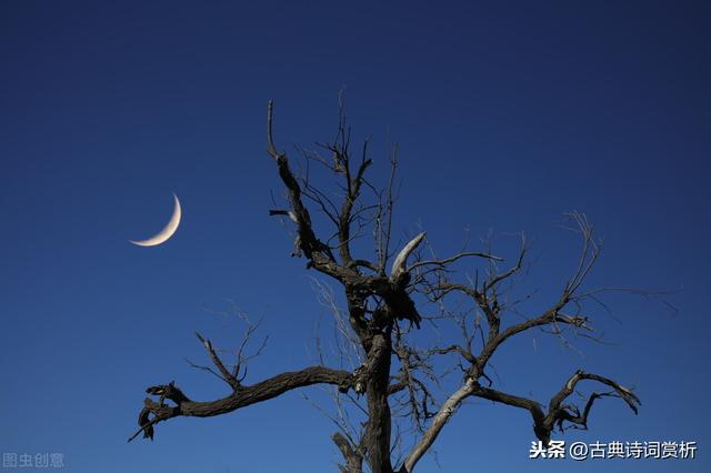 唐诗雪后初霁，雪后初晴古诗六首：倚杖望晴雪