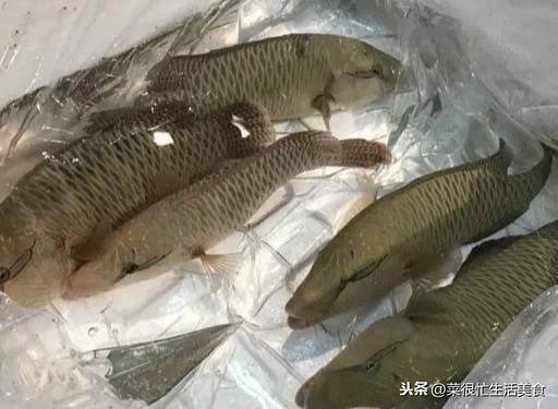 高档海鲜有哪些，全世界最顶级的海鲜（全球十大顶级海鲜食材！）