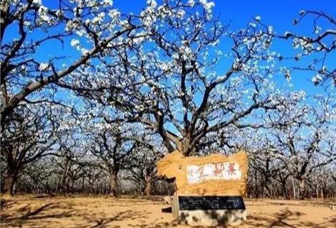 河南商丘旅游景点大全集，河南商丘这座历史文化名城