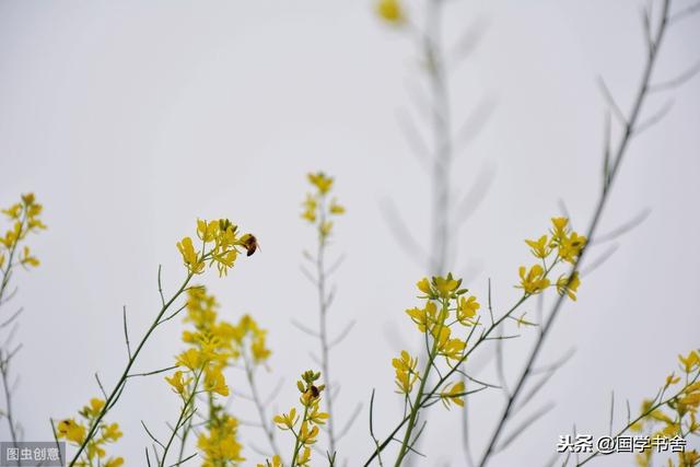 行善积德心存感恩之心，积德行善，福田自种