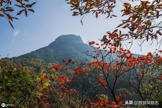 枣庄最值得去的旅游景点有哪些，枣庄在等你