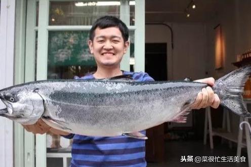 高档海鲜有哪些，全世界最顶级的海鲜（全球十大顶级海鲜食材！）