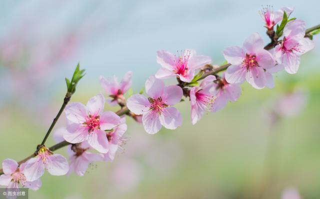 一年级反义词大全集，一年级四字成语近反义词大全（小学1-6年级语文近义词、反义词大全）