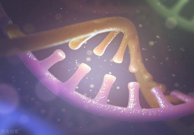 rna由什么组成，什么是RNA