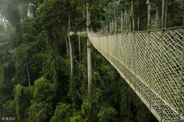 西双版纳春节天气，去西双版纳冬天旅游攻略