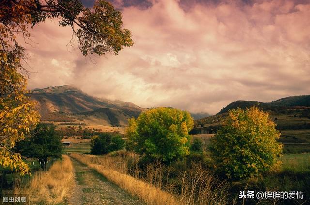 落花本来有意流水本也无情，人生静看落花时