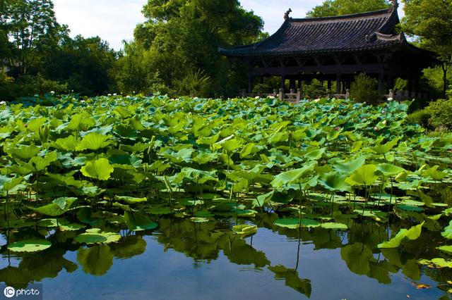 绍兴沈园最好的景点，国内旅游绍兴沈园