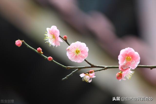 初遇的唯美短句，形容初次遇见的古诗词100句