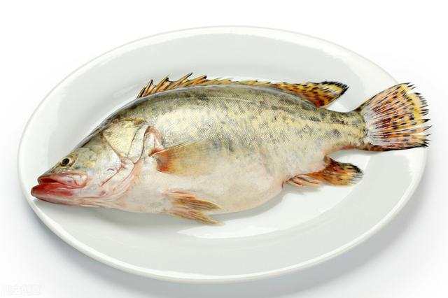 適合孩子吃的9種魚，肉嫩刺少，簡單一蒸就很鮮美 熱愛美食 第3张