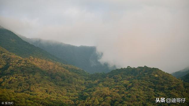 深圳有哪些景点，深圳八大景点（深圳八大最好玩的景点）