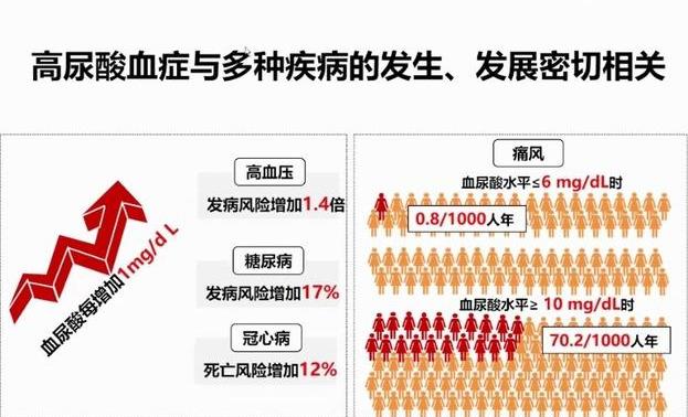 痛风患者案例分享及诱因分析，年轻人代谢旺盛