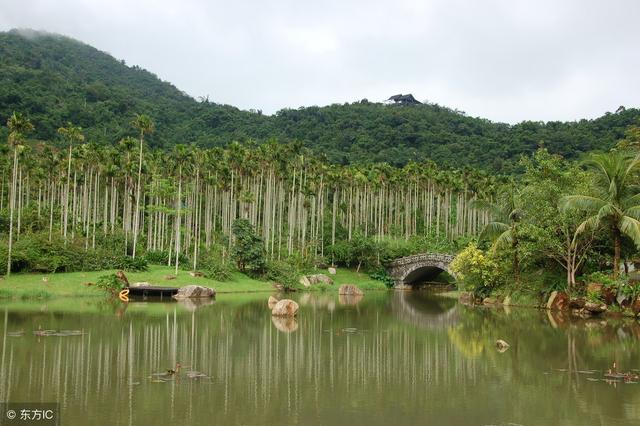 亚龙湾热带天堂森林公园，亚龙湾热带天堂森林公园游玩攻略（你就是我要找的避暑好去处）