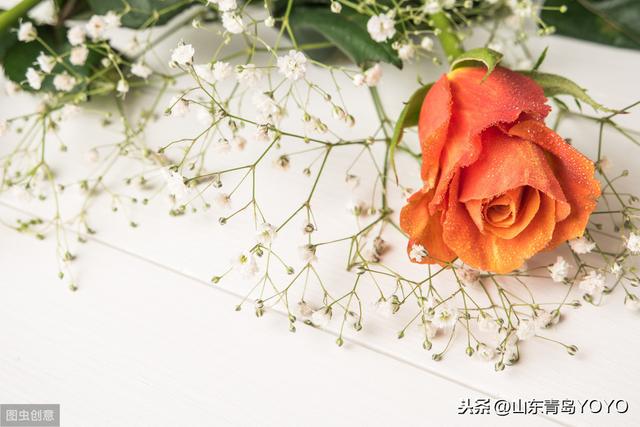 情人节送花玫瑰花语大全 蓝玫瑰花语 玫瑰花支数不同所代表的含意