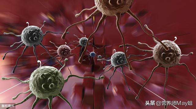 肥胖会影响精力吗(肥胖会影响精力充沛吗)