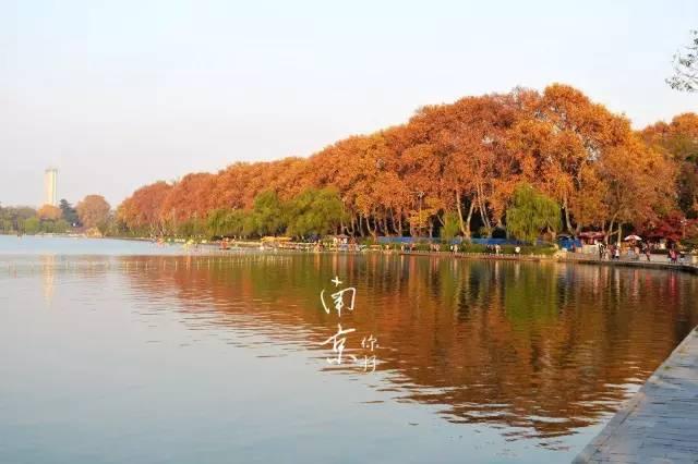 中秋节江苏旅游景点，江苏这275家景点免费玩