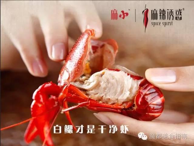 上海有哪些小龙虾，上海20家最好吃的小龙虾都在这了