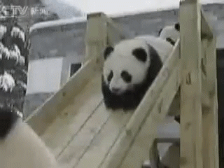 收好这几张万能表情包，75张万能糊弄敷衍的表情包