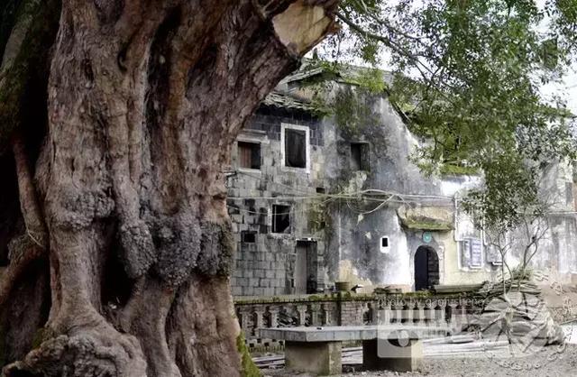 惠州自驾游最佳路线推荐，惠州周边10条最美自驾游线路