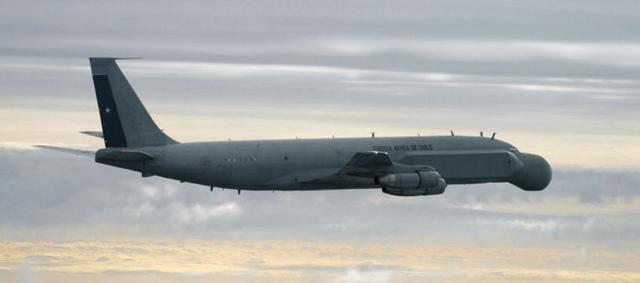 幼狮战机和歼十，八成网友竟分不清狮和幼狮战机