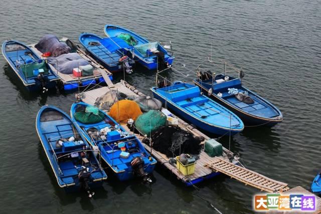 大亚湾附近旅游景点，大亚湾登山、看海、遛娃、拍拖好去处