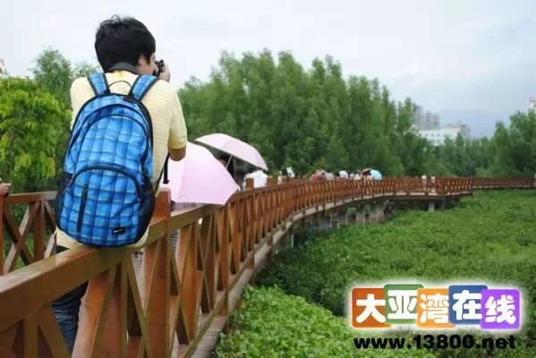 大亚湾附近旅游景点，大亚湾登山、看海、遛娃、拍拖好去处