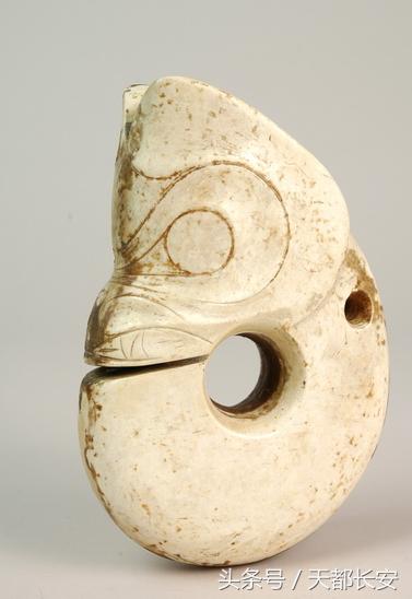 世界上真的有龙存在吗未解之谜，世界上真的有龙吗