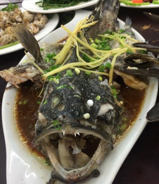 去三亚吃海鲜的正确方法，三亚吃海鲜攻略，玩家必看