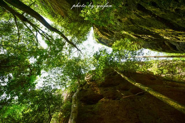 梅州五指石风景区，五指石风景区里面的磨肚峰简介（风景秀丽的小众旅游胜地）