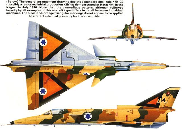 幼狮战机和歼十，八成网友竟分不清狮和幼狮战机