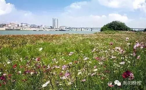 衡阳旅游景点攻略，衡阳户外一日游