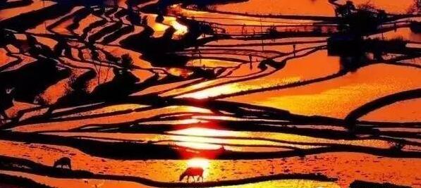 云南的最佳旅游攻略，来云南玩一个星期的攻略