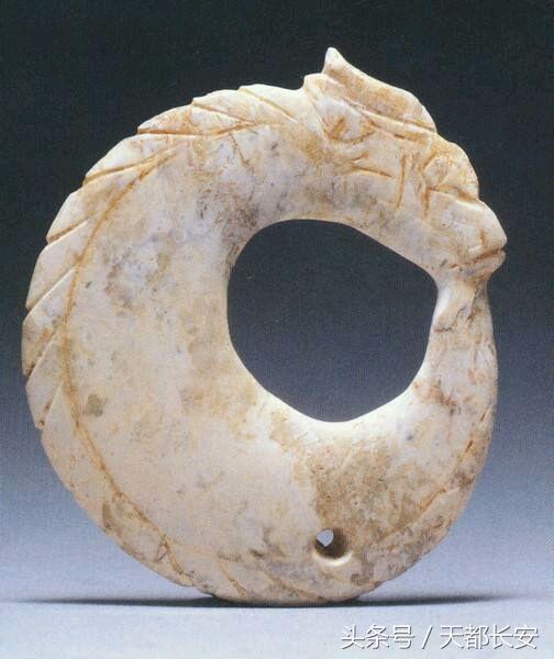 世界上真的有龙存在吗未解之谜，世界上真的有龙吗