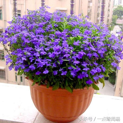 人走好运的吉兆，好运不断的几大吉兆